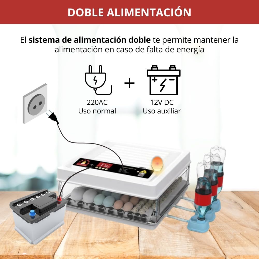 Arcanix Incubadora de Huevos Automática 30 Huevos Gallina 75 Codorniz - Incubadoras con Volteo Automatico Control de Temperatura y Humedad, Termómetro Higrómetro Chocadeira Ovos Automatica