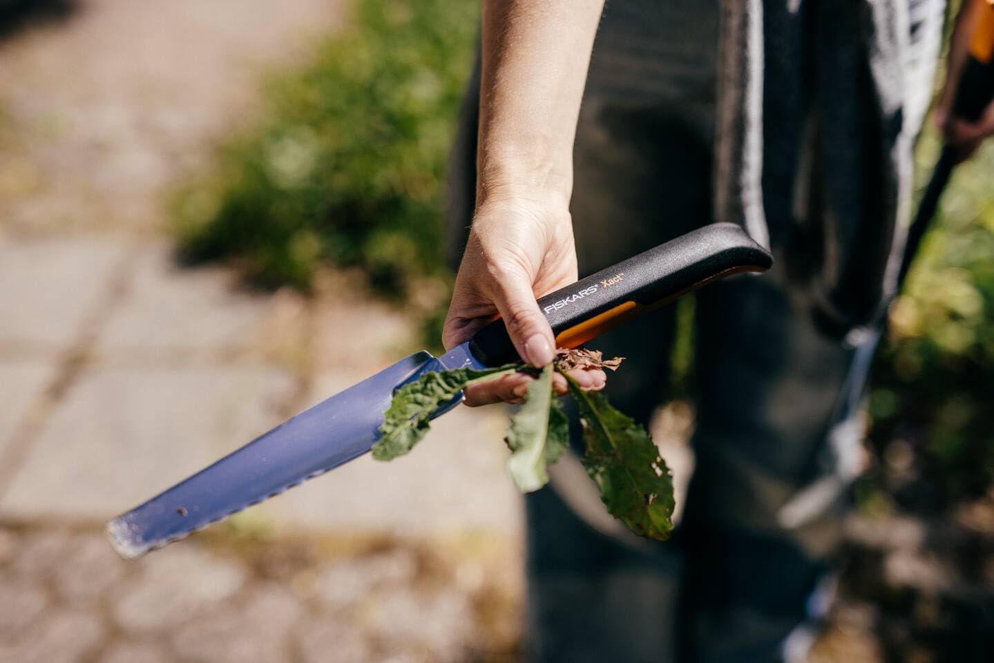 Amazon.com: Fiskars Xact Extractor, Length: 39.6 cm, Black/Orange