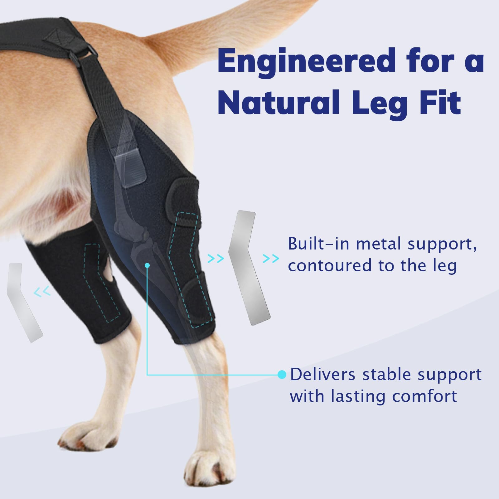 Rodillera para perros con osteoartritis, rótula luxante, displasia de cadera y LCC, S y 2