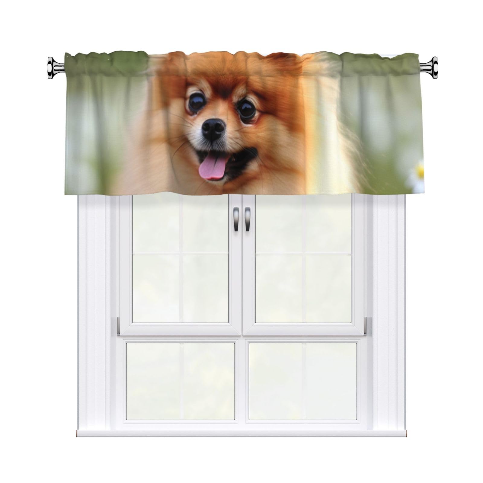 DWVTSLH Pomeranian Dog Valances Curtains for Windows, Rod Pocket Drape Valence Blackout Short Curtains for Kitchen Bathroom Bedroom Window Treatment for Home Décor 54x18 Inch