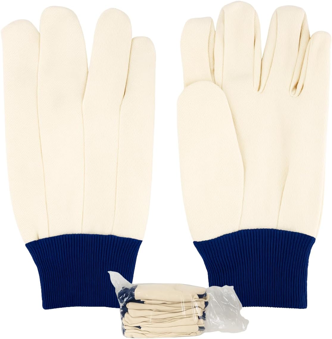 HAWK (12 Pairs) Ladies' Cotton Canvas Gloves | Size Medium (M) | Durable & Stylish with Blue Knit Wrist | Machine Washable | Versatile Use Great For House, Yard Work, Construction