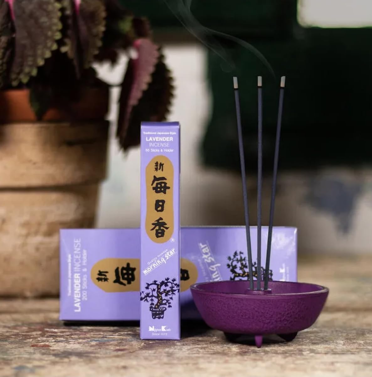 Morning Star Incenso Giapponese Alla Lavanda – 50 Bastoncini Con Supporto Incluso