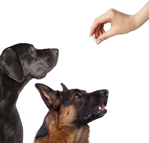 Miniatura 6 de Cápsulas vacías de tamaño 00  Gelatina transparente  Caja de 5000 unidades  Se adapta a la bandeja de llenado de máquina de cápsulas  Tapas de gel