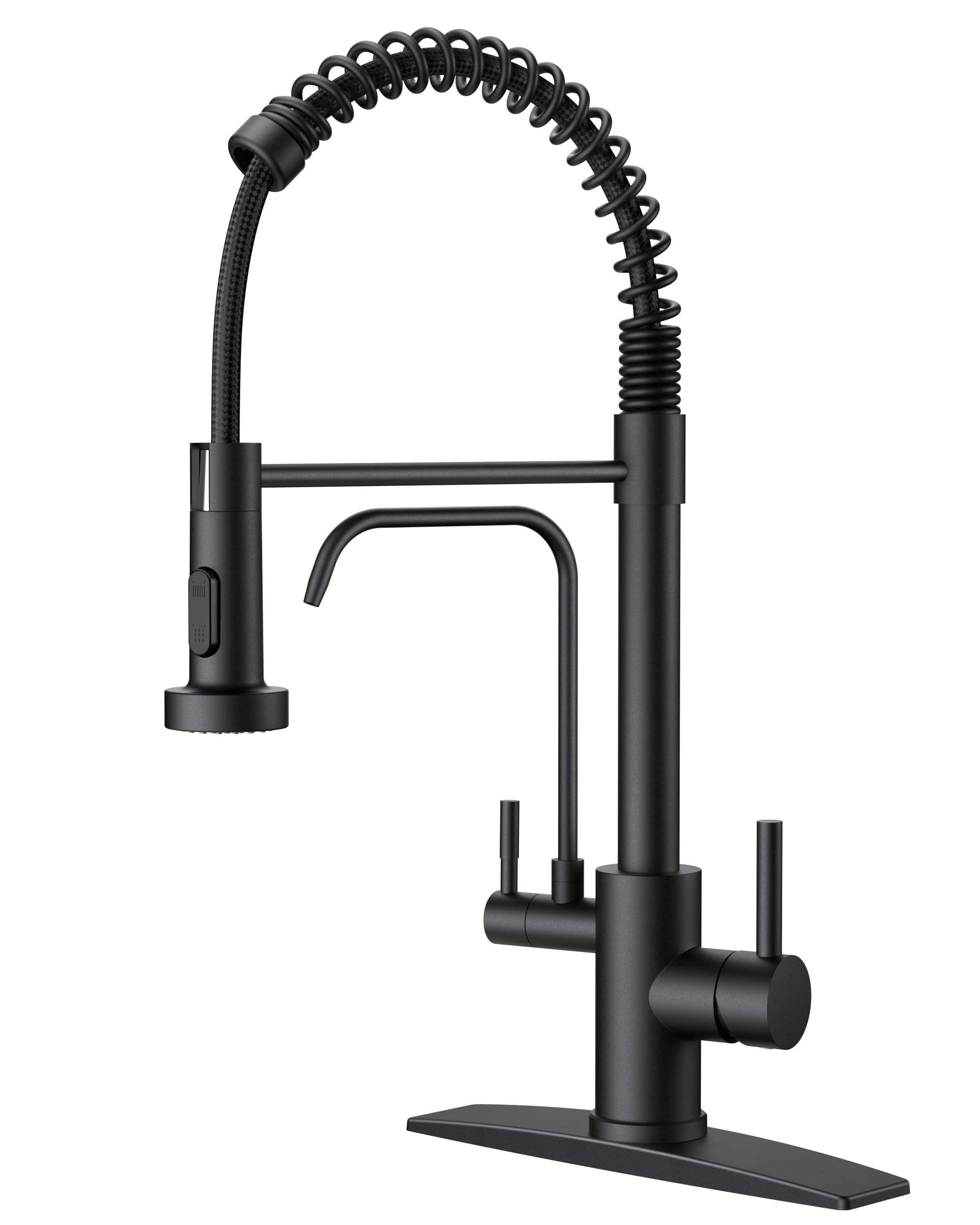 FORIOUS 2 in 1 Matte Black Kitchen Faucet