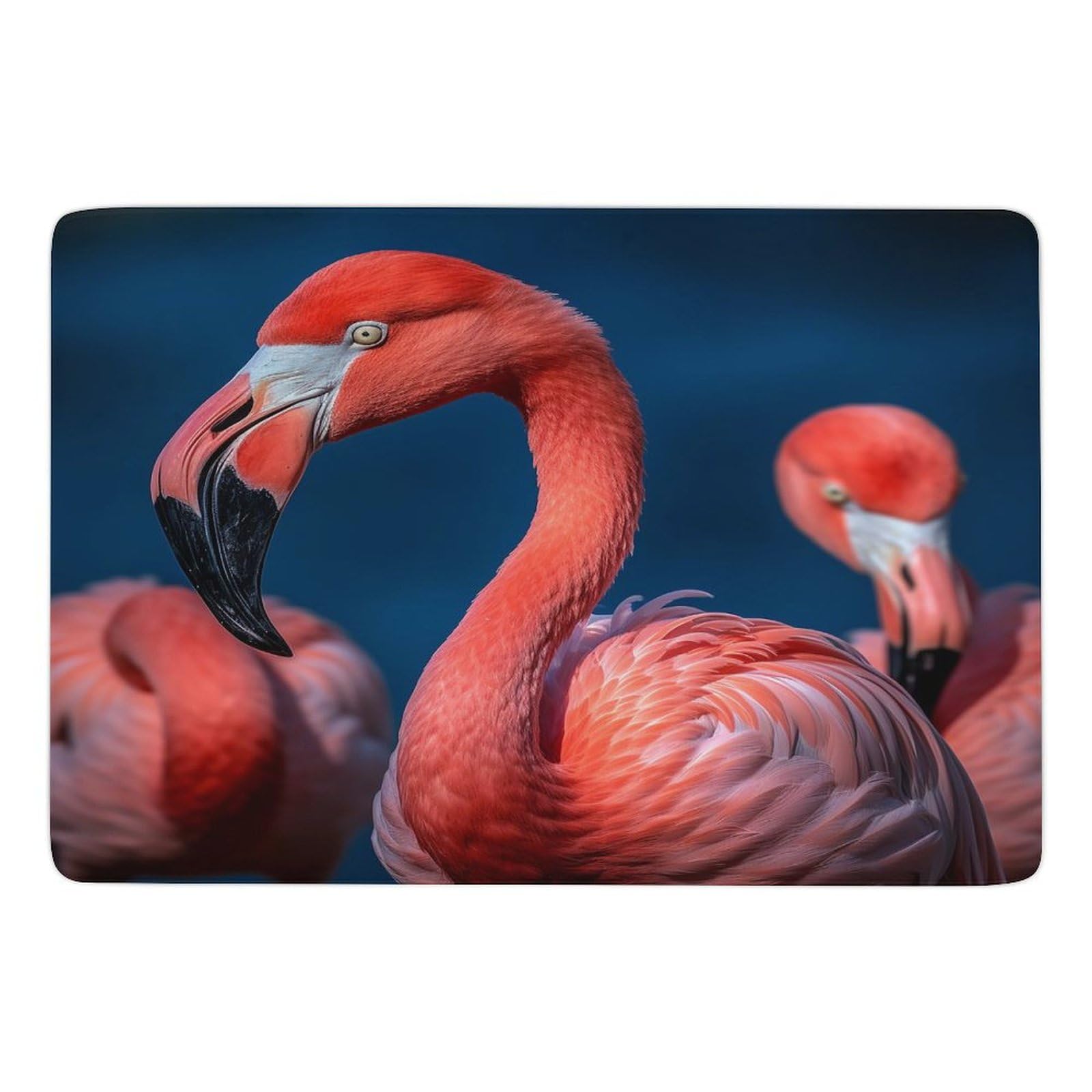 Tapis de sol en velours corail avec impression haute définition flamants roses de salon