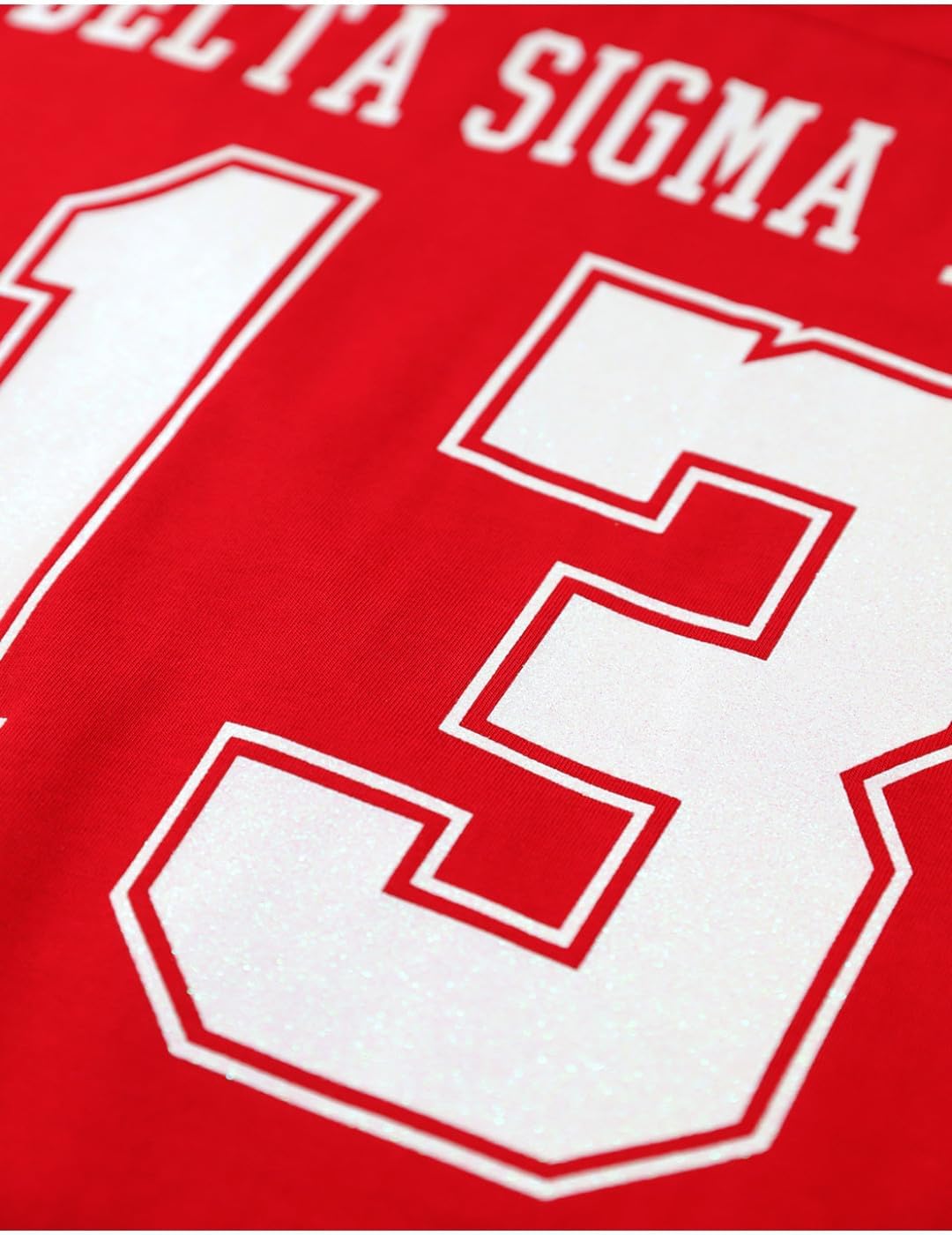 Big Boy Delta Sigma/Σ Theta Divine 9 S1 Long Sleeve Jersey [Long Sleeve - Red] - ID#75489-143-208-0-7