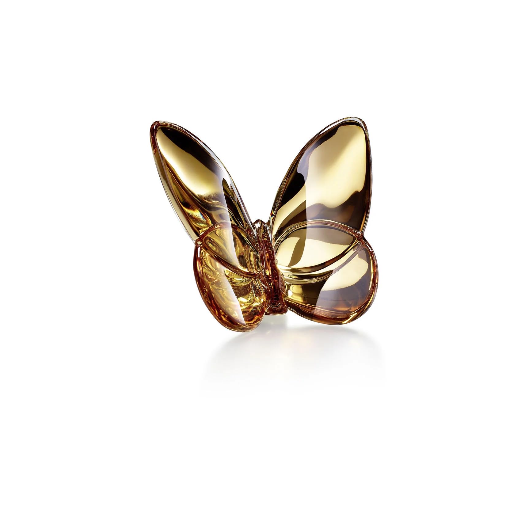 Amazon.com: Porte-Bonheur Gilded Gold Butterfly 2812622 : Home