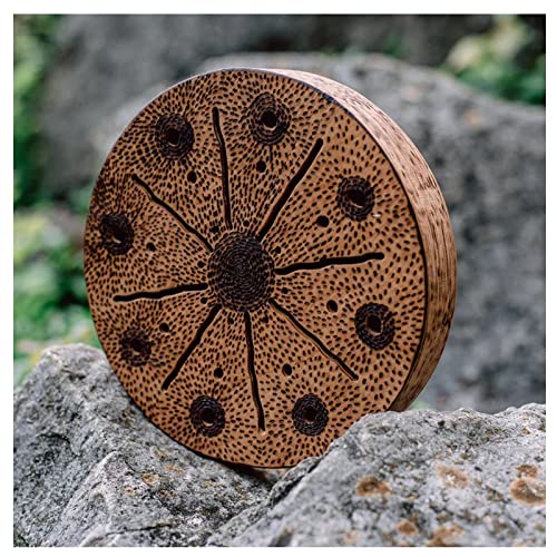 Amazon Best Sellers Best Ocean Drums