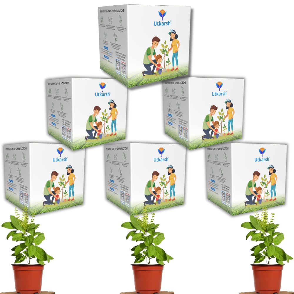 Utkarsh Tulsi Seed Starter DIY Grow Kit with Gift Bags | Best Eco-Friendly Return Gift Ideas for Kids & Beginners | Easy to Grow it Yourself Gardening Set for Home & Kitchen Garden | Pack of 6-image-35