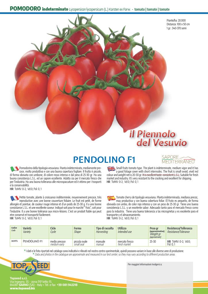 Semi Di Pomodoro Indeterminato BENGALA F1 – Non OGM, Alta Germinabilità (50 Semi) Per Serra