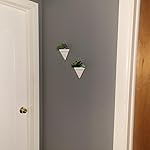 Review Image by Karlee Karlee