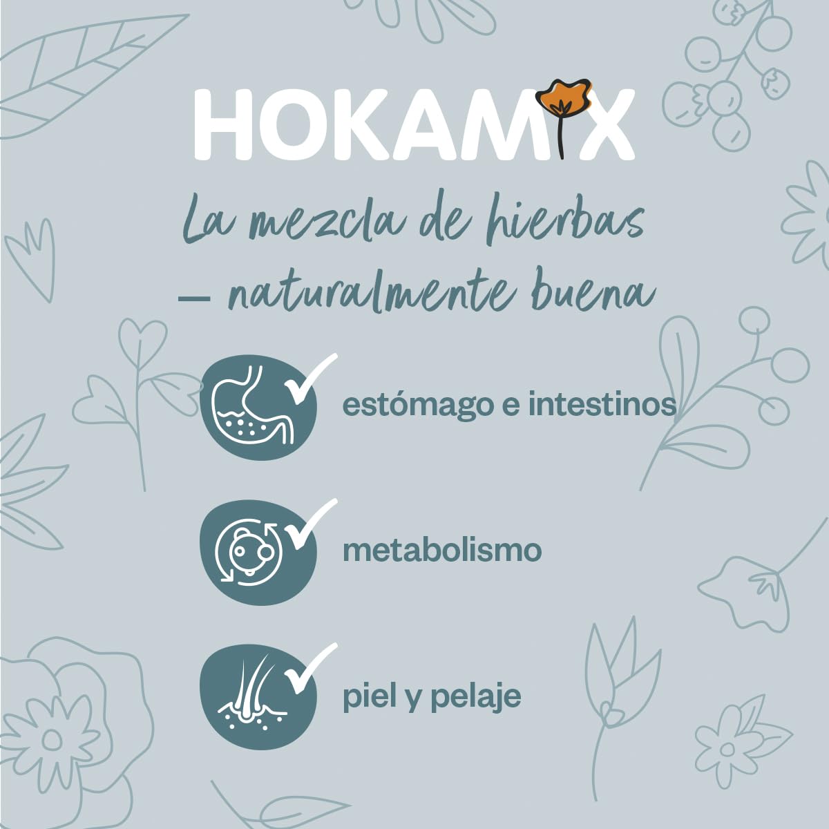 GRAU - El Original - Hokamix Vitality Booster, Pack Individual (1 x 800 g)