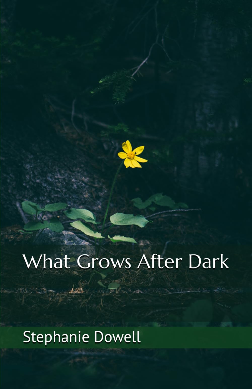 What Grows After Dark
