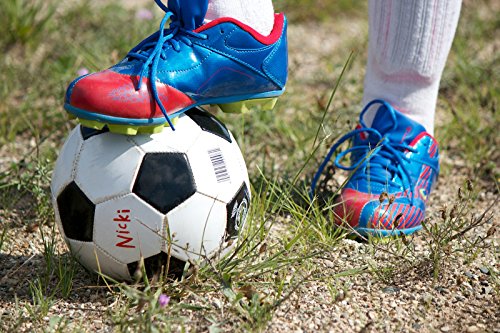 Sharpie Extreme Permanent Markers, 12-Pack, Red (1927433) #TOP6