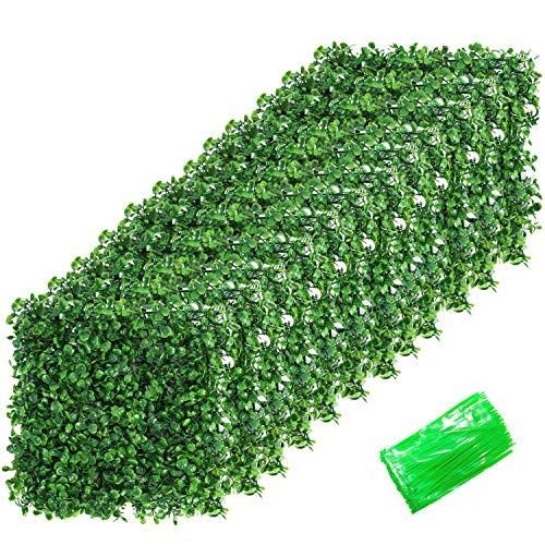 YaeMarine 24-Pack 10