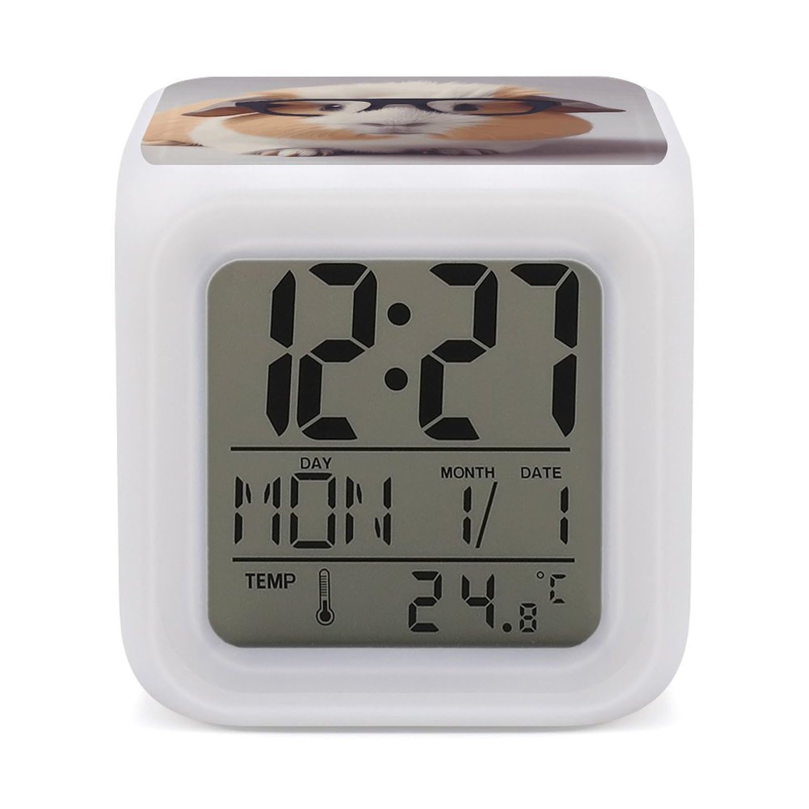 DWVTSLH Guinea Pig Alarm Clock with 7 Color Changing Night Light, Wake Up Digital Clock for Bedroom, Bedside Cube Clock with Date, Temperature, Battery Operated Desk Clock Gift