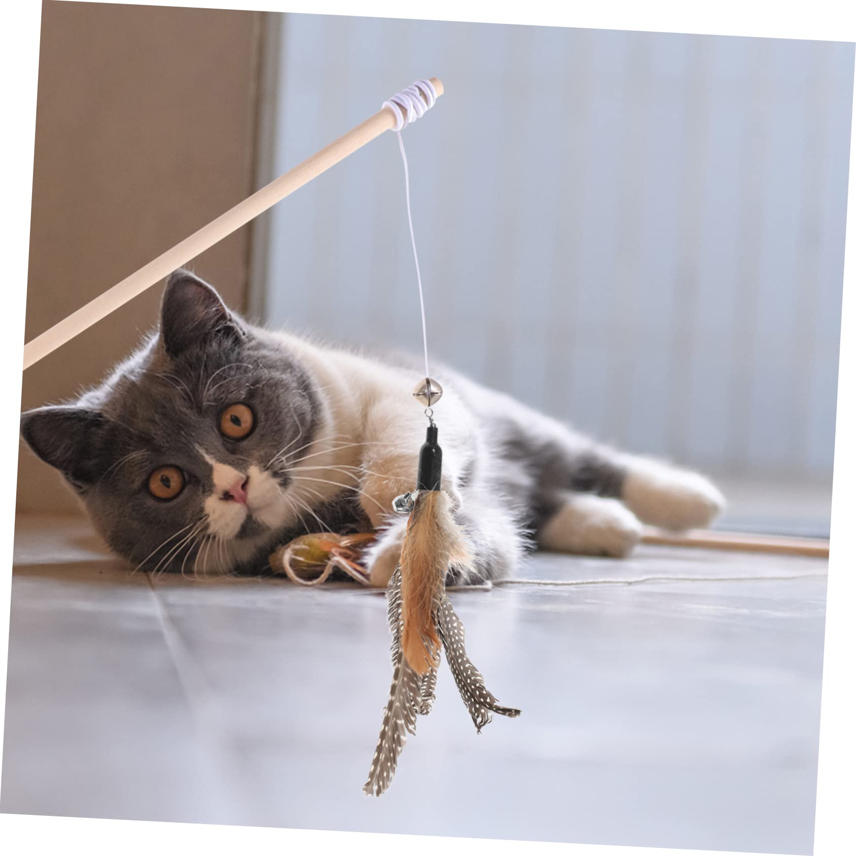 Kisangel 32stücke Katzenfederspielzeug Nachfüllungen Für Katzenangel Lustige Federköpfe Für Interaktive Spielzeit Für Katzen Bekämpfung Von Langeweile