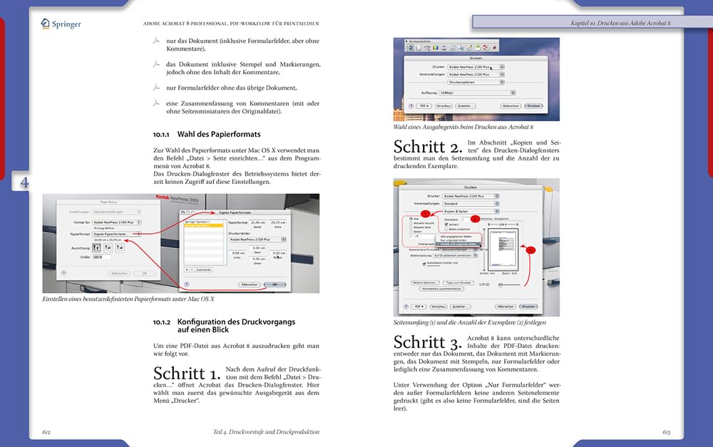 Adobe Acrobat® 8 Professional: PDF-Workflow für Printmedien (X.media.press)