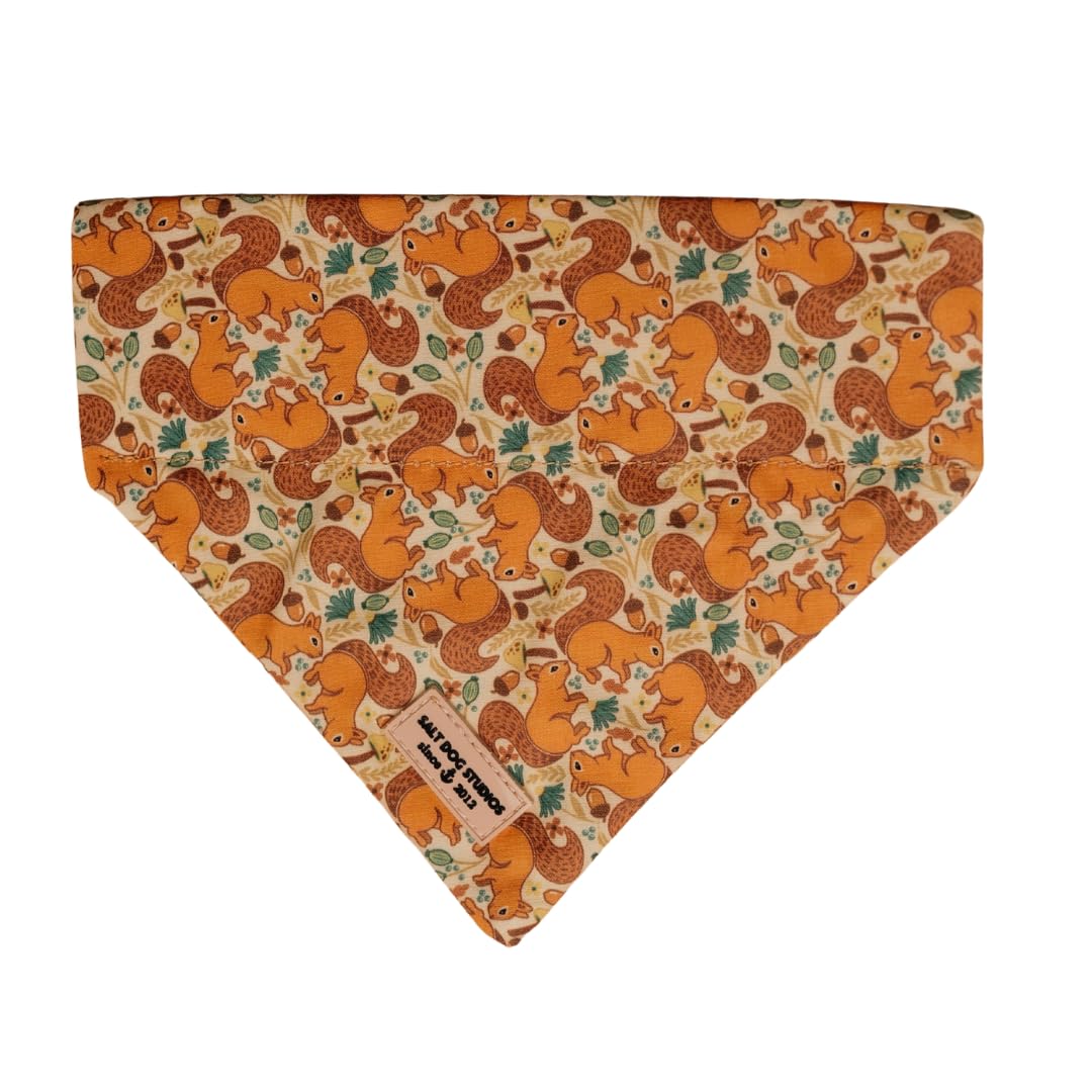 Salt Dog Studios Dog Bandana - Slip-On Dog Collar Bandana, Soft Cotton Dog Scarf for Small, Medium and Large Dogs, 19 (Squirrels, Medium) — image 1