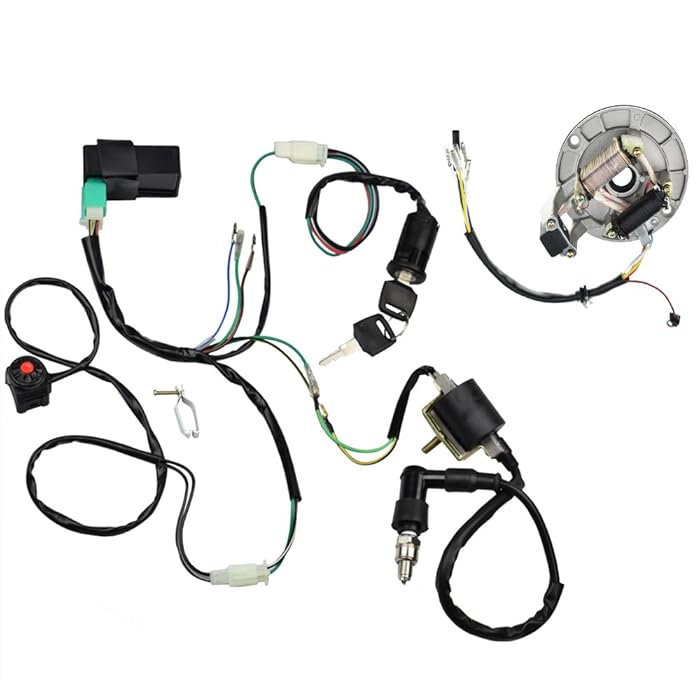 Buy Minireen Kick Start Dirt Pit Bike Wire Harness Wiring Loom CDI