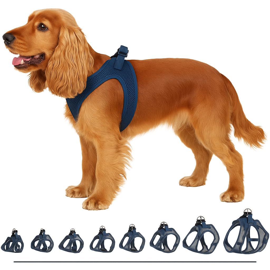 Dog Harness Step&Go Bento Dark blue M 30-35cm 41-44cm
