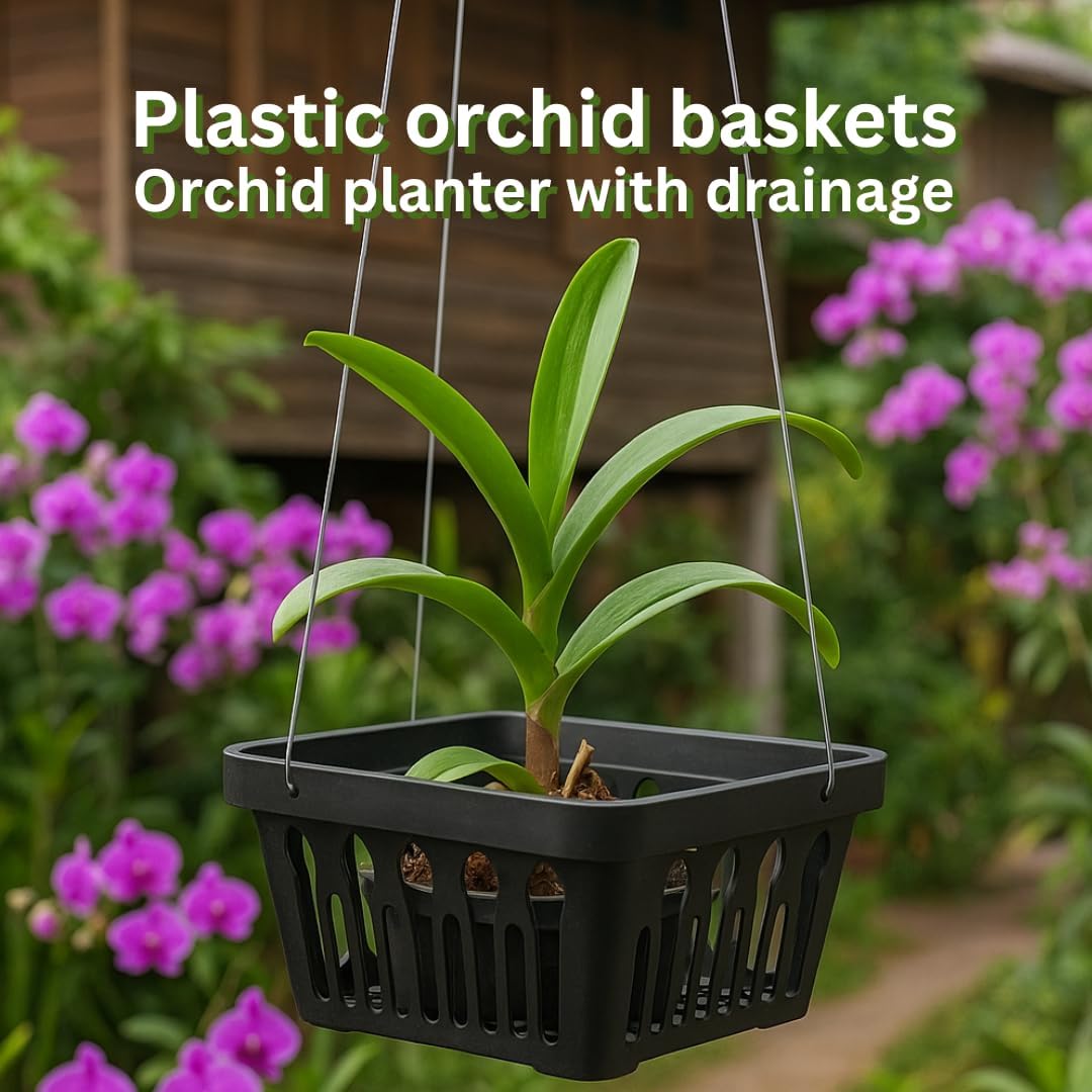 5 PCS Orchid Basket Pots – Black Plastic Vanda Baskets for Hanging Orchids, Vanda, Ascocenda, Rhynchostylis – Durable Flower Planting Pots with Great Drainage (Round 8 inch)
