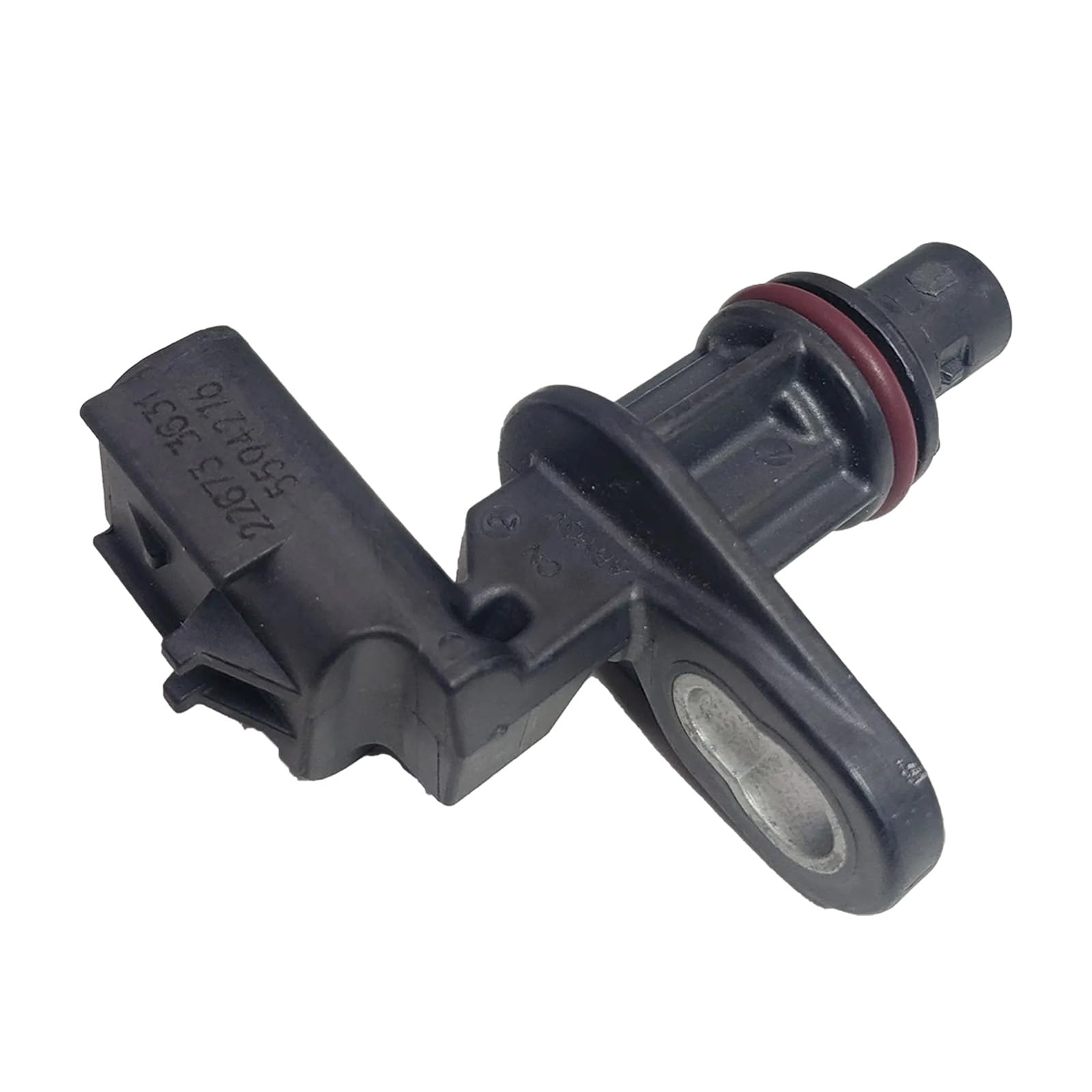 ぶどう10枚 Amazon | 【釣り餌】【活きエサ】【渓流餌】ぶどう虫（たにの