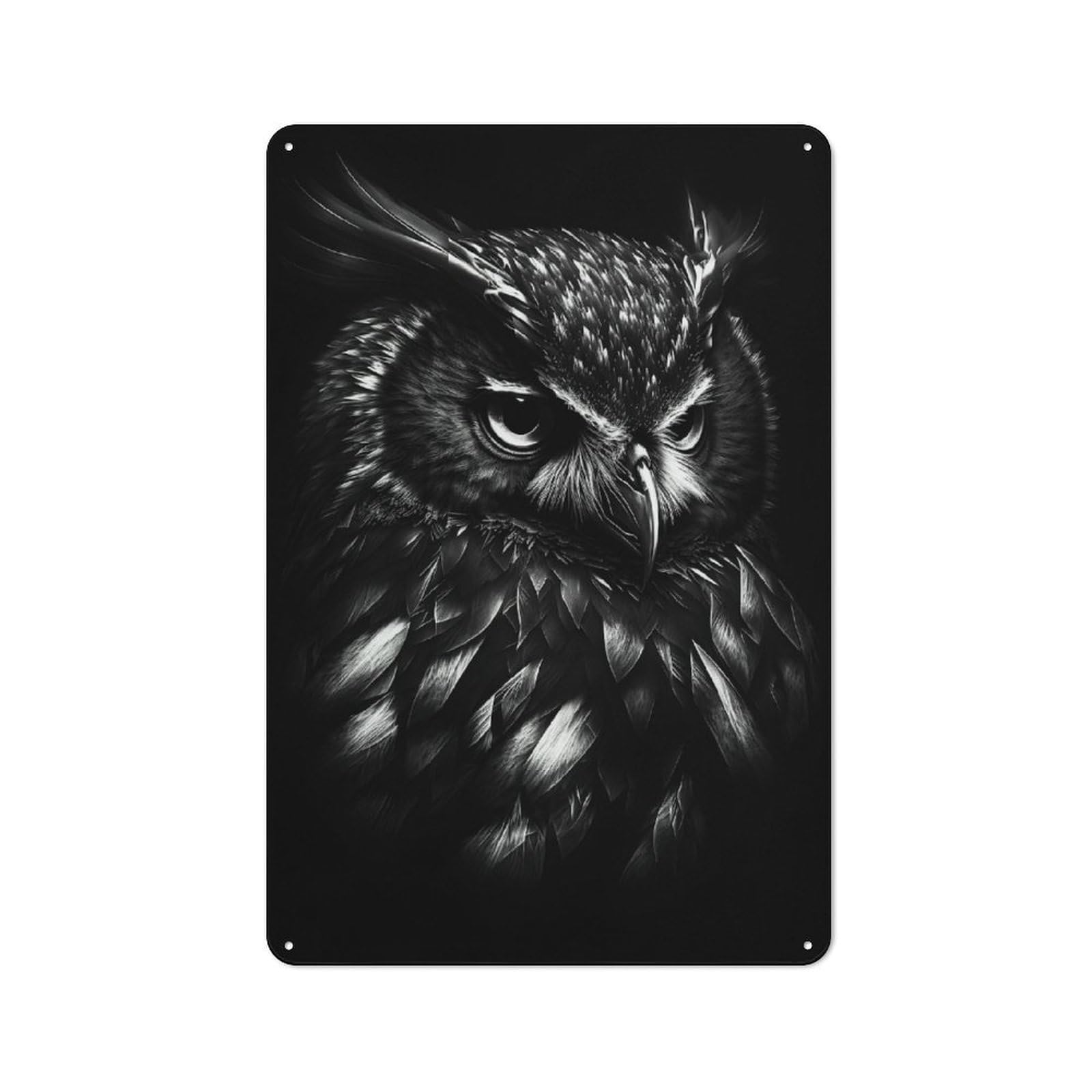 Industrial BW Owl Decorative Metal Plaque 30x20cm, Studio Wall Art for Flat, Bar, Studio Or Gallery Wall