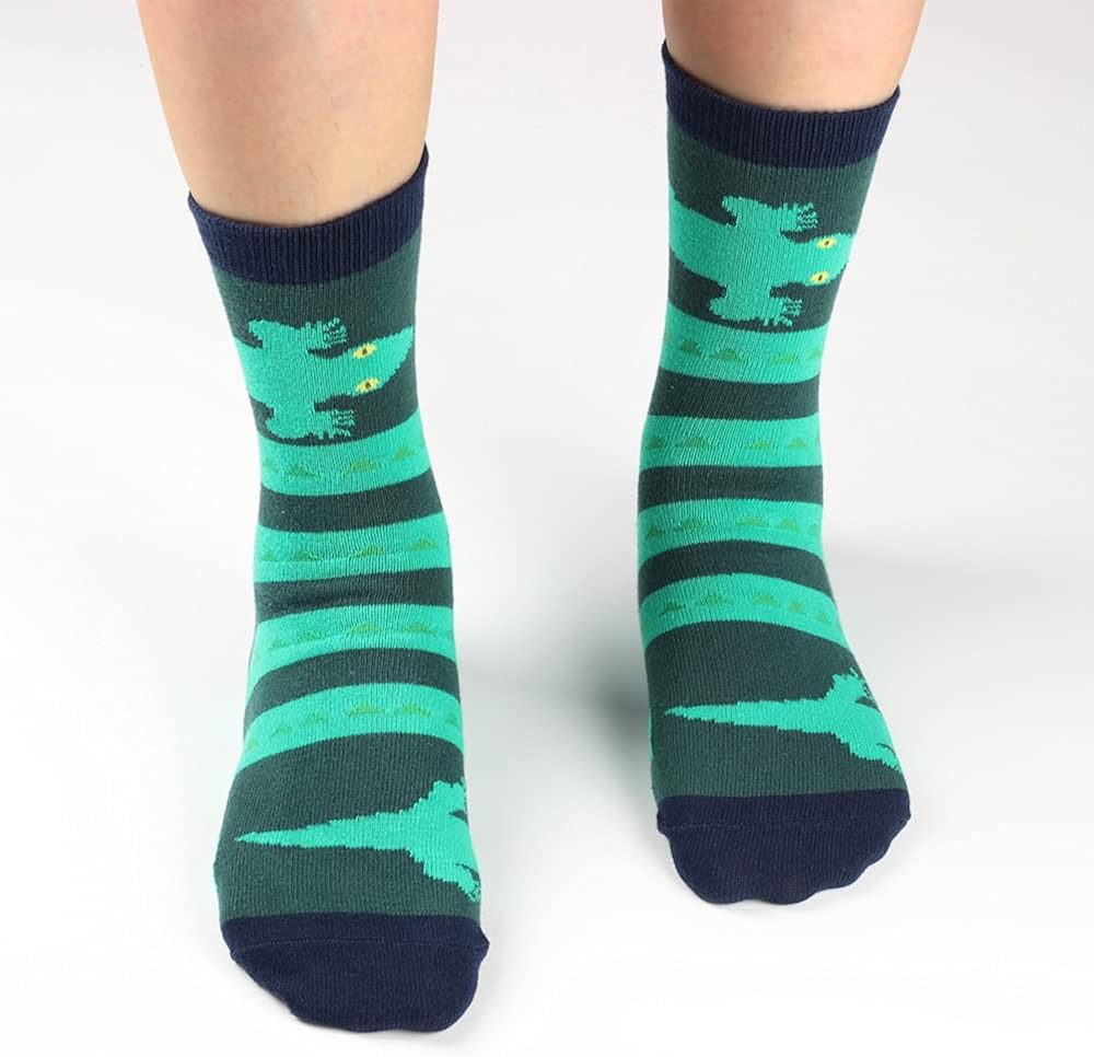 COTTON DAY Boys Fun Novelty Design Socks Bright Colors Pack of 5 : Clothing, Shoes & Jewelry