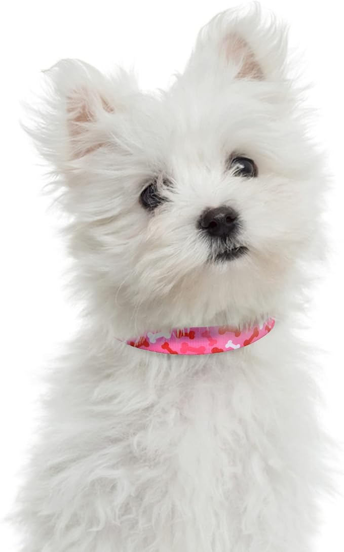 Collar para perro en nylon con patrones lindos, tamaño mediano miniatura 5