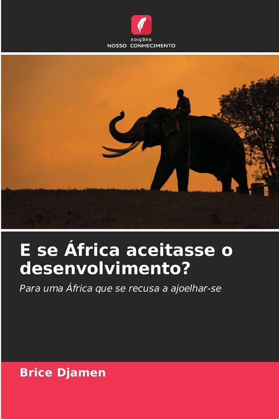 E se África aceitasse o desenvolvimento?: Para uma África que se recusa a ajoelhar-se