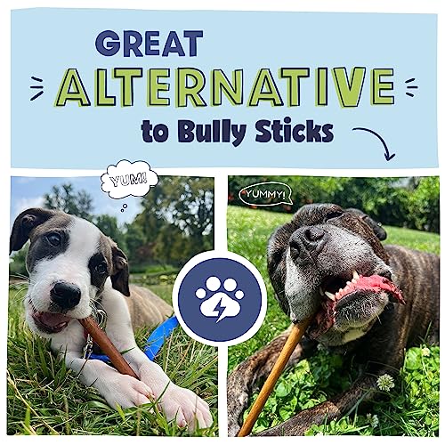 Pawstruck All Natural 11-12 Inch Roasted Collagen Sticks For Dogs - Low Odor & Long Lasting Alternative To Bully Sticks And Rawhide Chews thumb #2