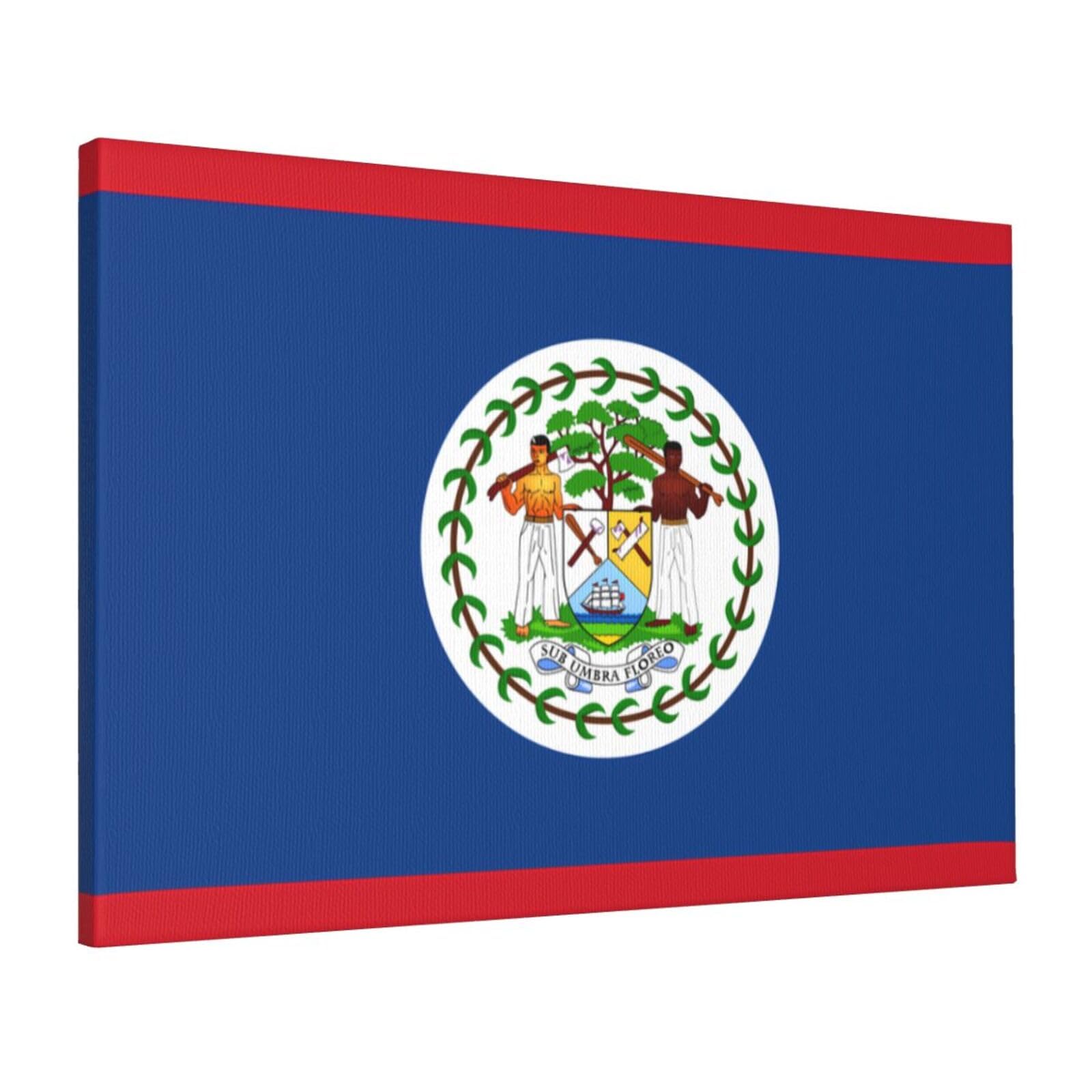 CNTDBU Belize Flag Canvas Wall Art 16x24 Inch-Large Modern Painting Print for Living Room, Framed Ready to Hang Artwork for Bedroom