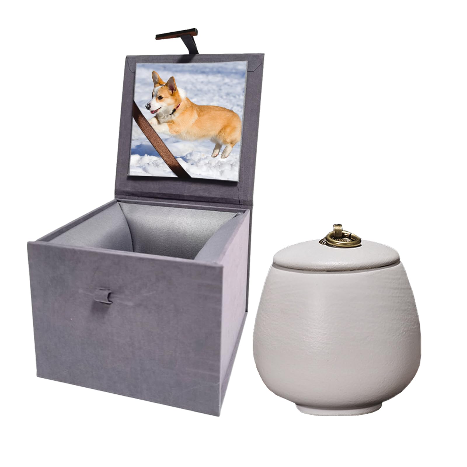 Urna per ceneri di animali domestici, in ceramica, fatta a mano, regalo commemorativo con scatola fotografica (bianco opaco, media)