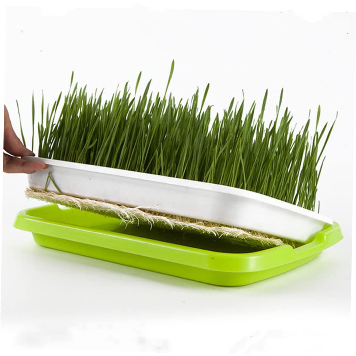 BESPORTBLE 5pièces Plateau de Germination Hydroponique Plateaux de Culture Sol Plateau de Germination Pratique
