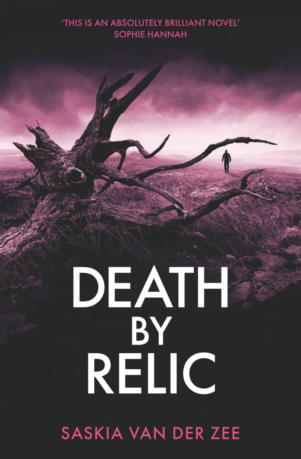 Death By Relic: or Blood and Bone (A DI Georgie Fraser Mystery): 2 (Shropshire Mysteries)