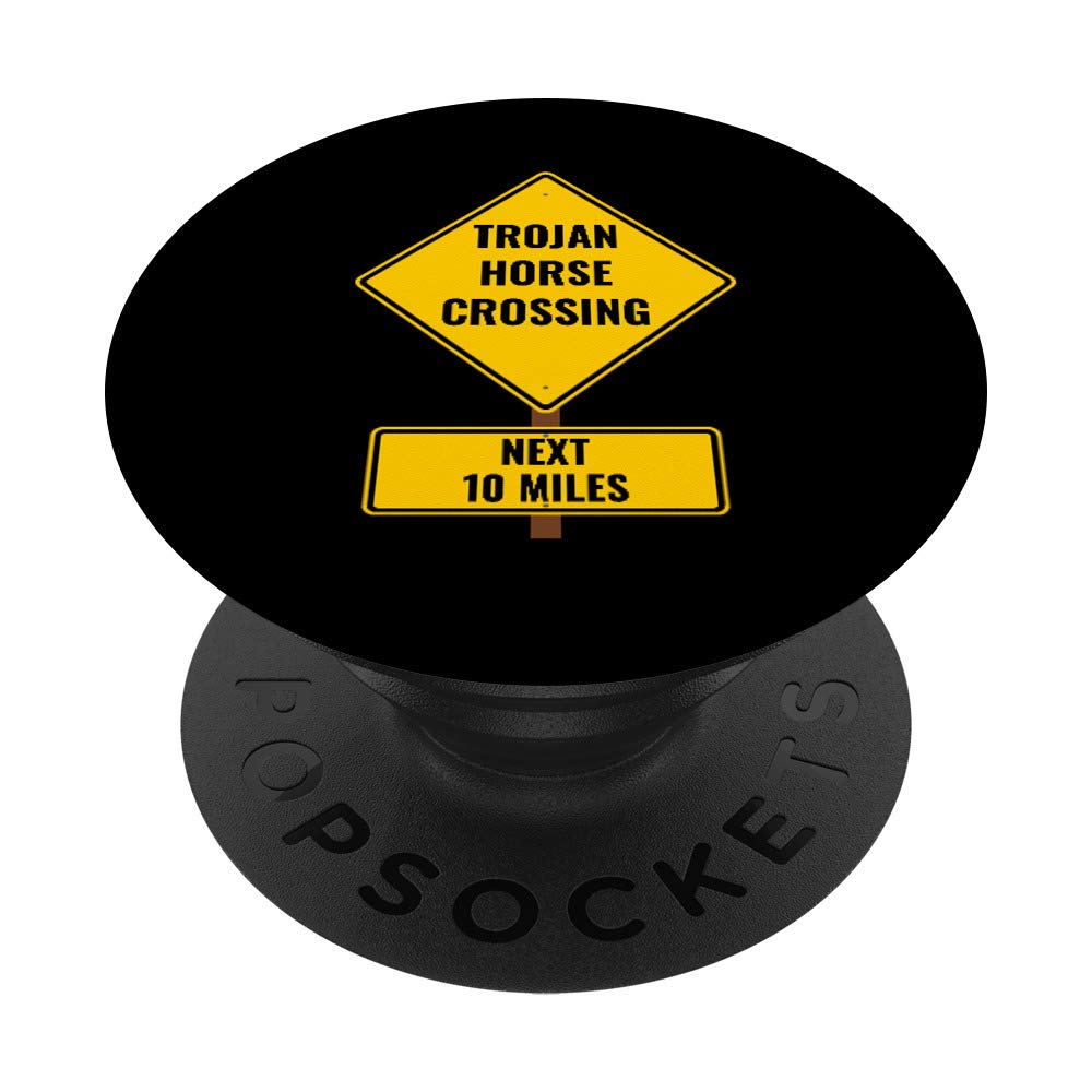 Trojan Horse Computer Viruses