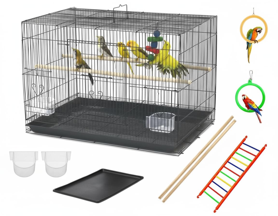 VAYINATO Iron 2 Feet (24 Inch) Black Color Birds Cage For Budgies, Finches, Love Birds, Cocktails, Conures & All Small Birds With Free Hanging Toys By Petzlifeworld