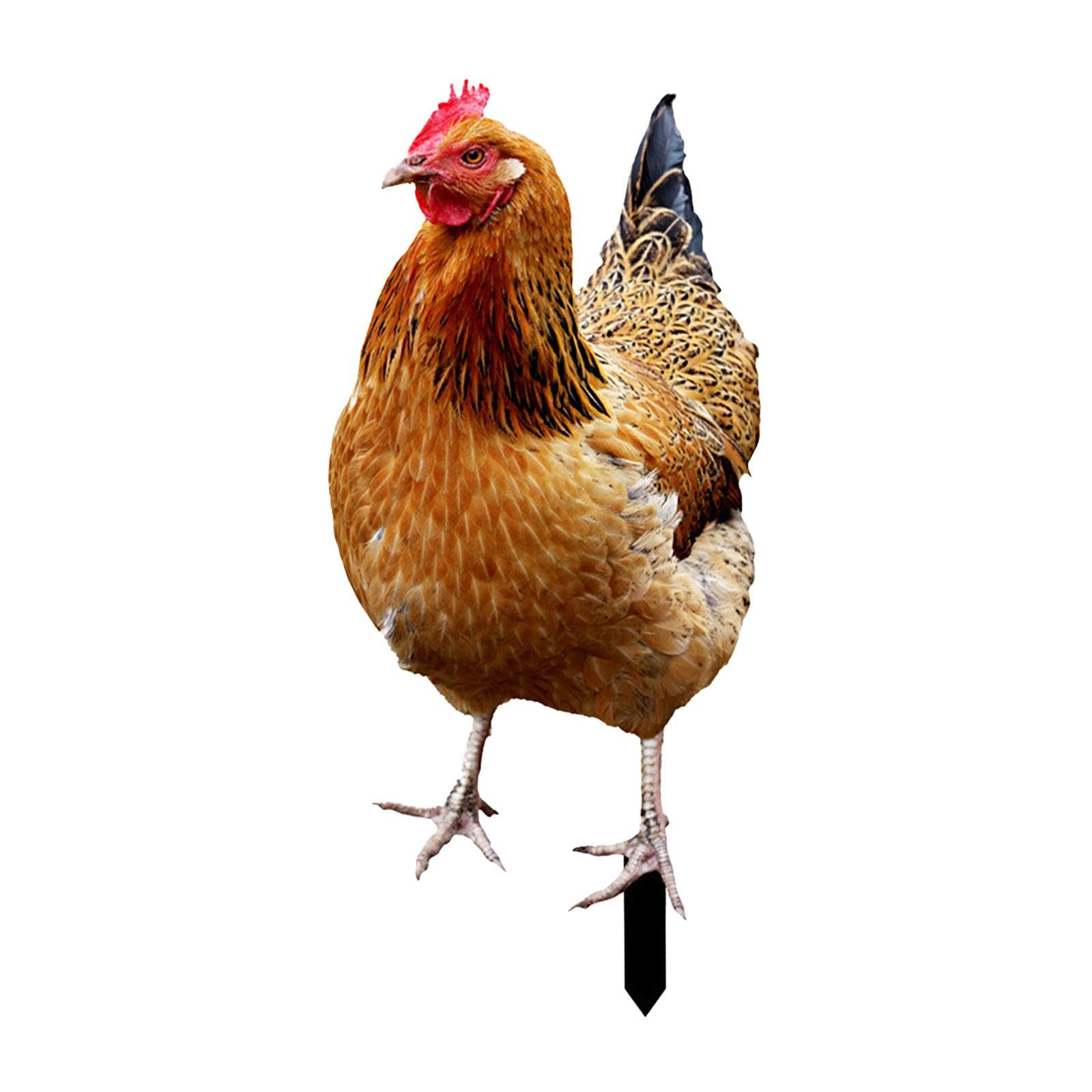 Piquet de jardin en forme de poule KESOTO, déco extérieure originale de 33cmx15.2cm