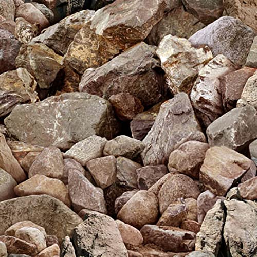 Find The Best Landscape Fabric For Rock Reviews & Comparison Katynel