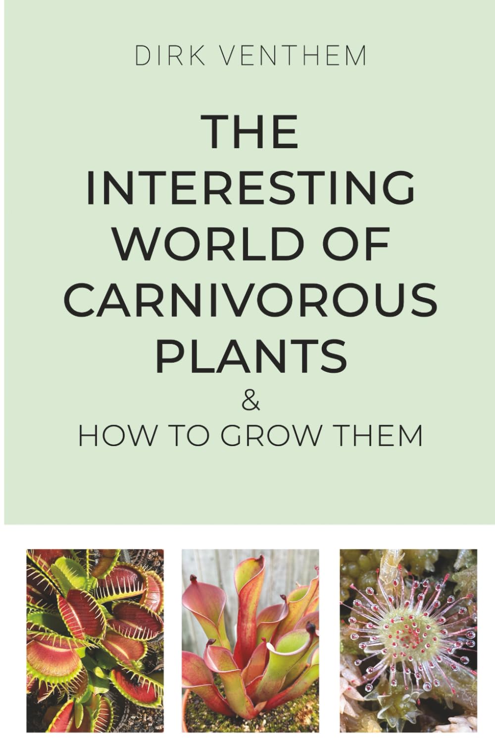 The Interesting World of Carnivorous Plants & How to Grow Them