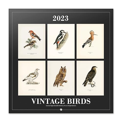 Grupo Erik Vintage Birds Wall Calendar 2023 12' x 12' FSC| 12 Month Planner | Square Wall Calendar 2023 | Family Planner Calendar 2023 | Bird Calendar 2023 | + 4 Bonus Months