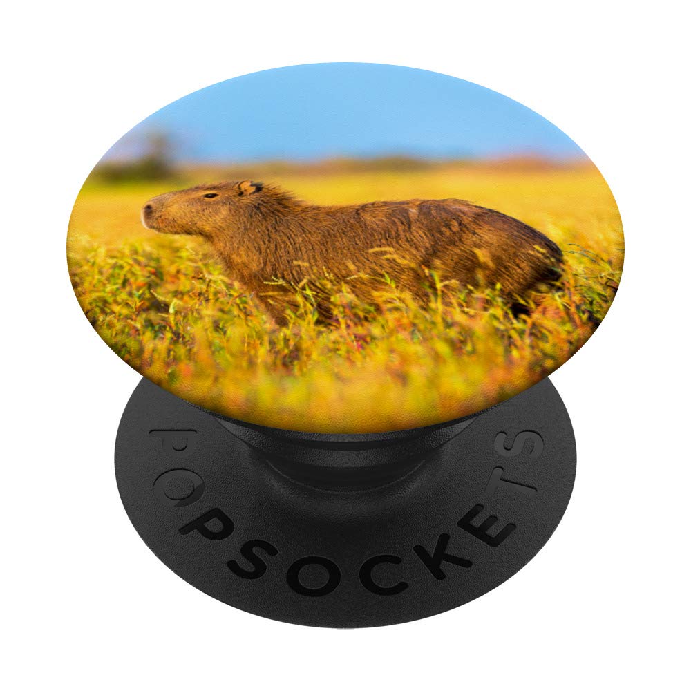 Capybara PopSockets Swappable PopGrip