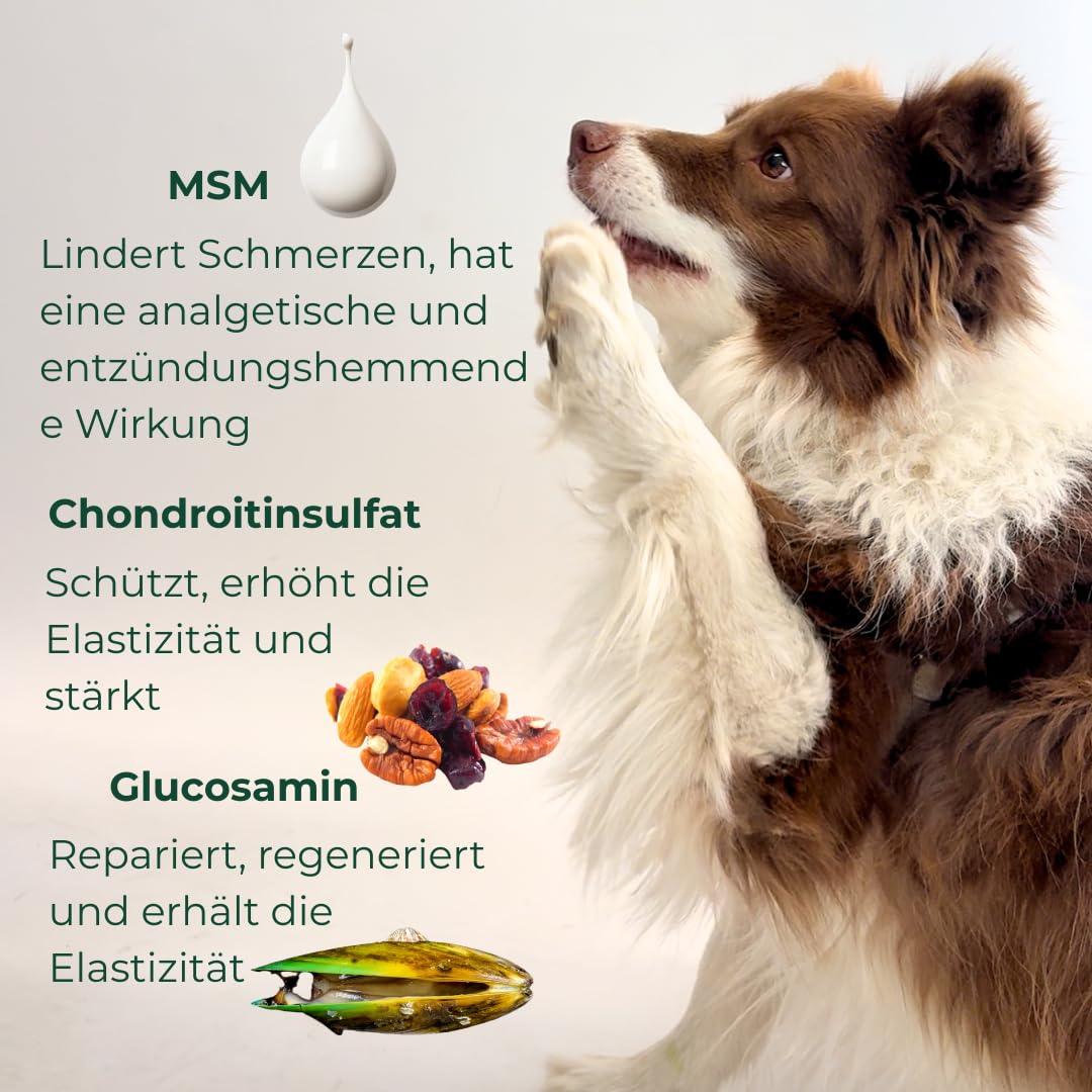 Entzündungshemmendes Chondroprotektor für Hunde Ortocanis – 13 in Aktivstoffe: Glucosamin, Chondroitin, MSM, Omega-3 EPA + EVA, Kurkuma, Boswellia Serrata, Kollagen, Vitamin E, C, Magnesium