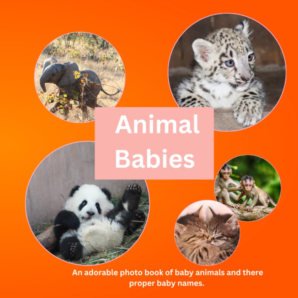Animal Babies: An adorable Photo Book of Baby Animals and their Baby Names
