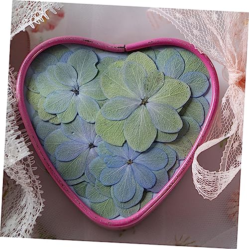 30 piezas flores secas prensadas decorativas para manualidades miniatura 3