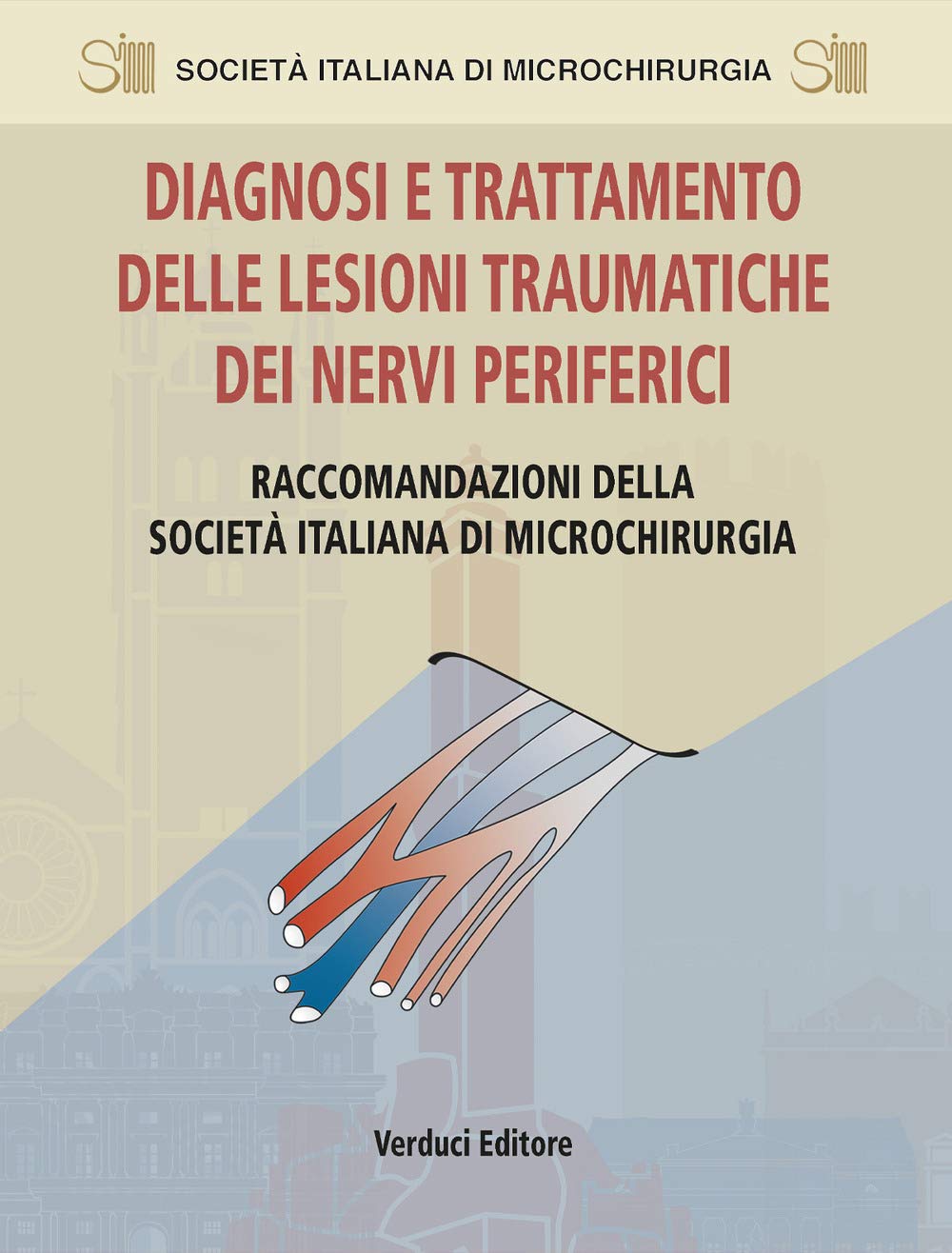 Diagnosi E Trattamento Delle Lesioni Traumatiche Dei Nervi Periferici. Raccomandazioni Della Società Italiana Di Microchirurgia - 4