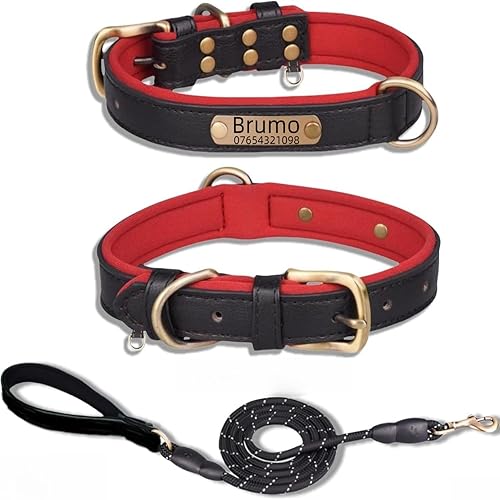 Miniatura 19 de Collar de perro de cuero personalizado y juego de correa, personalizado con diseño acolchado suave resistente con placa de nombre grabada Cuello