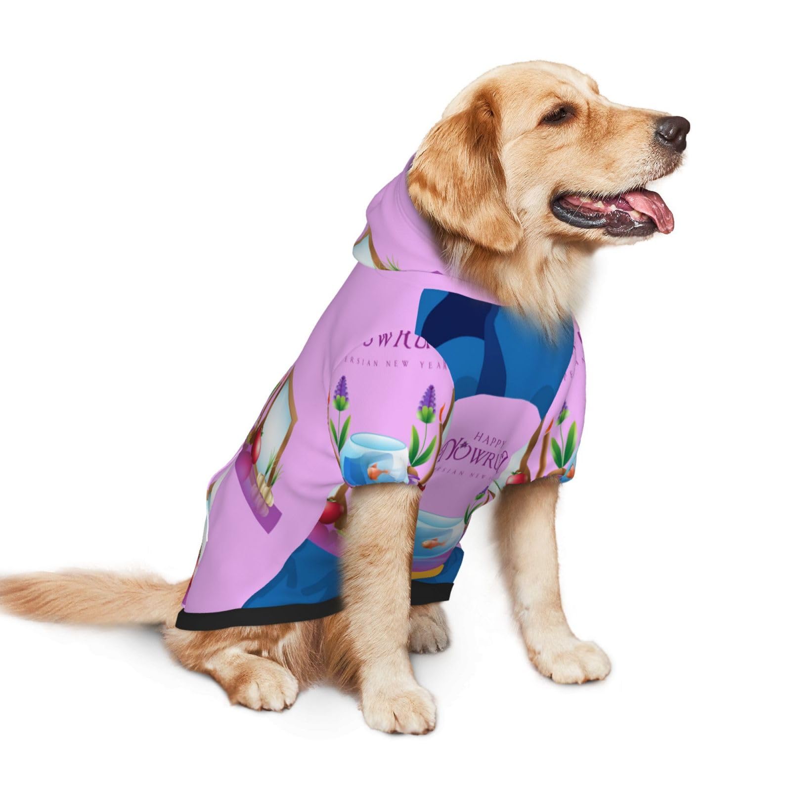 Amazon.com: Happy Nowruz Dog Hoodie Pullover Pet Costume Outfit