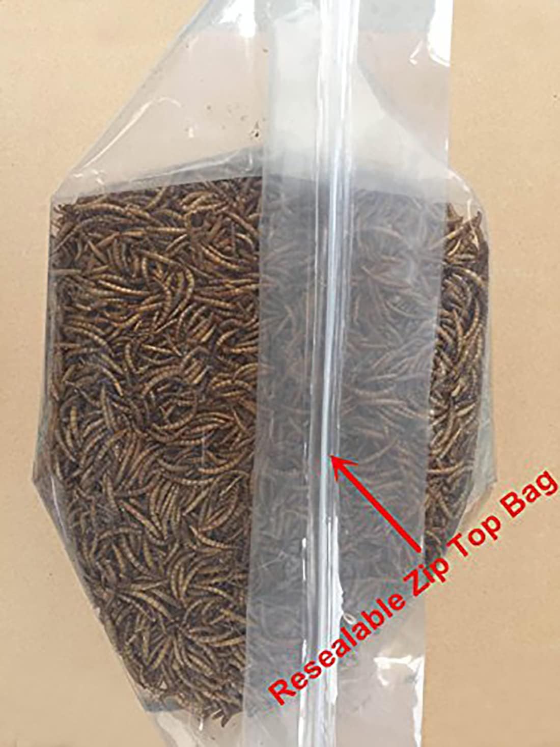 10lbs Bulk Non-GMO Dried Mealworms for Reptile , Tortoise ; Amphibian ,Lizard ;Wild Birds; Chichens; Duck etc : Pet Supplies